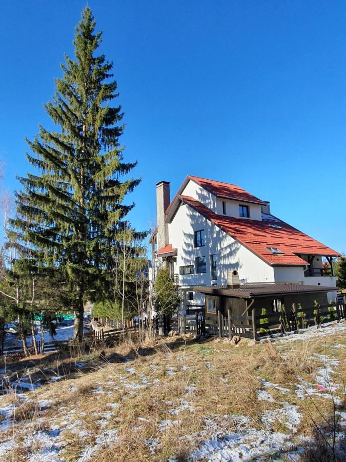 Vila Berlin Hotel Poiana Brasov Exterior photo